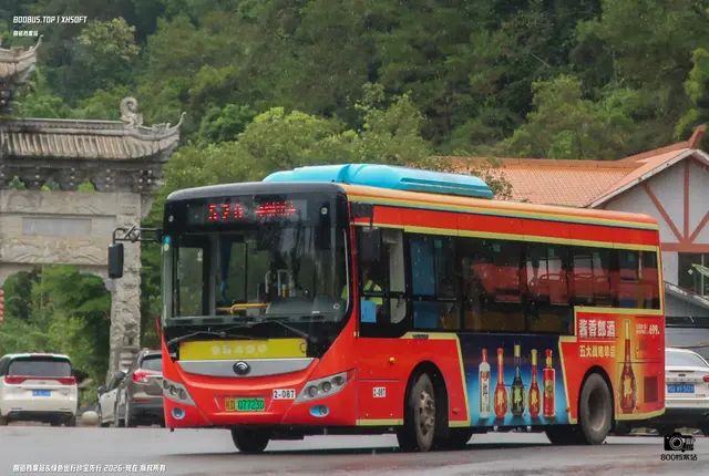 800BUS
