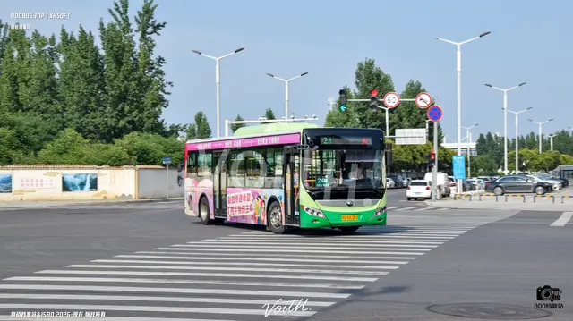 800BUS
