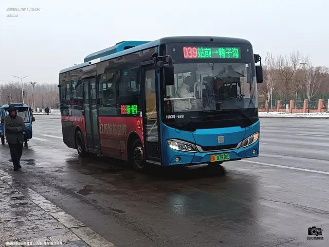800BUS