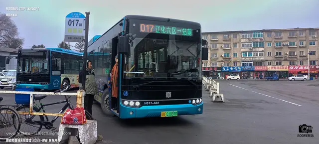 800BUS