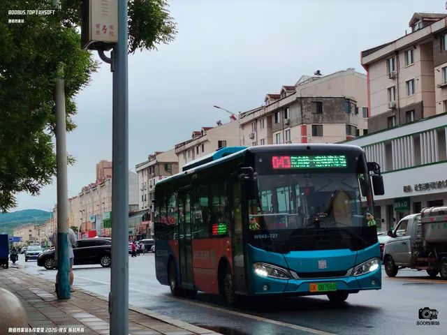 800BUS