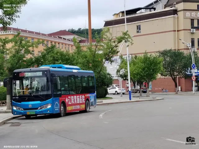 800BUS