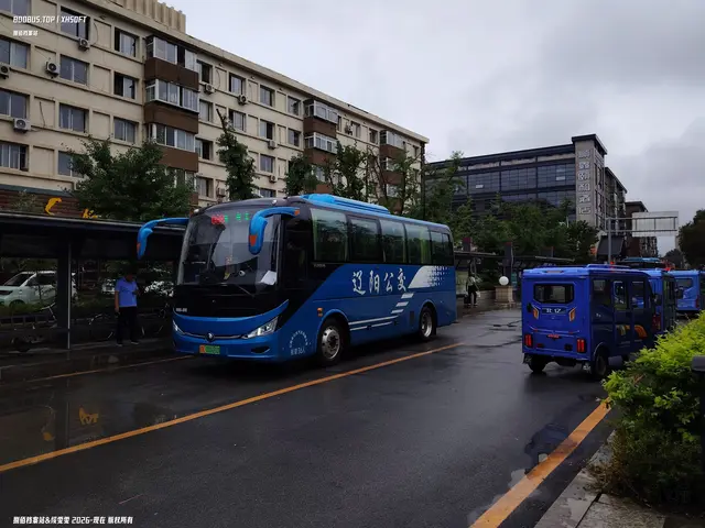 辽K 00920D