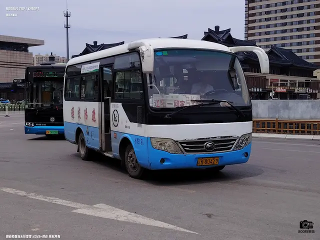 辽K 80429