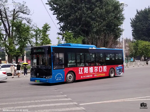 辽K 07002D