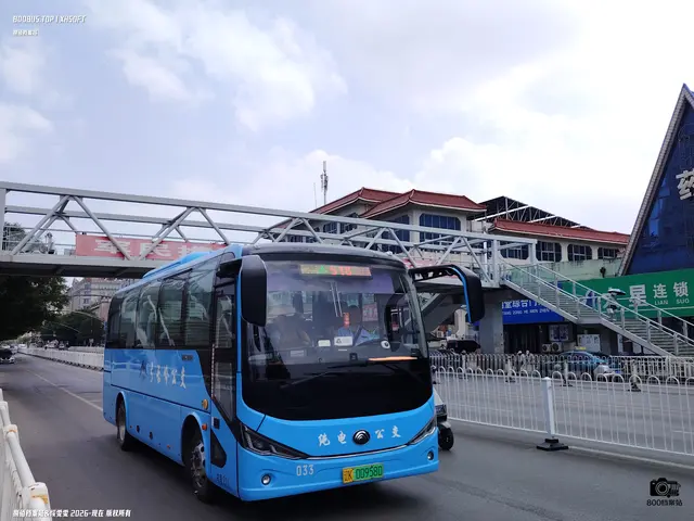 辽K 00958D