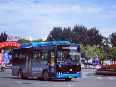 辽K 07022D