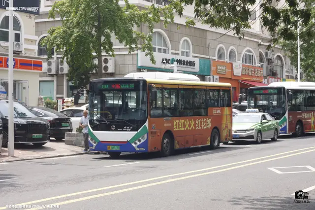 800BUS