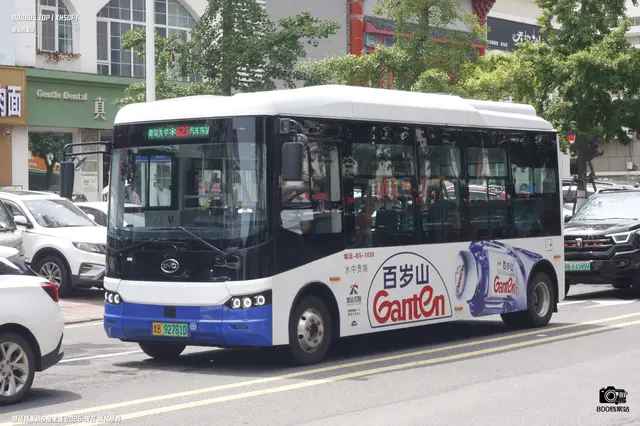 800BUS