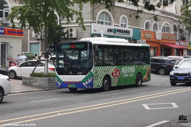 800BUS