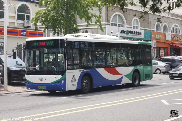 800BUS