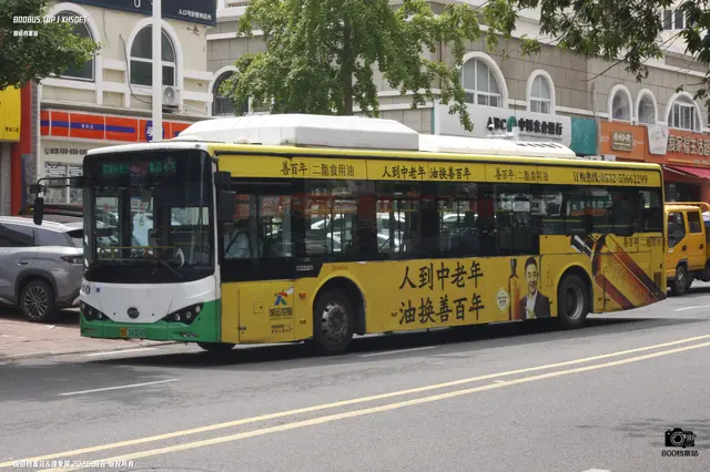 800BUS