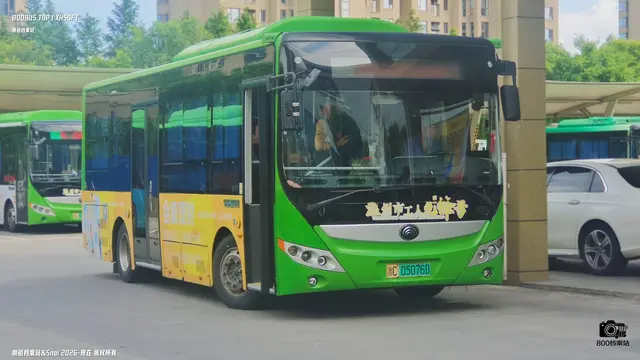 浙C 05076D