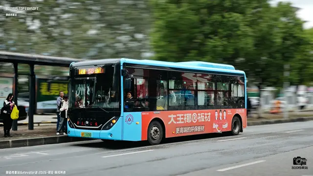 800BUS
