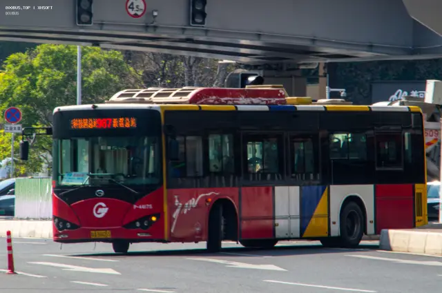 800BUS
