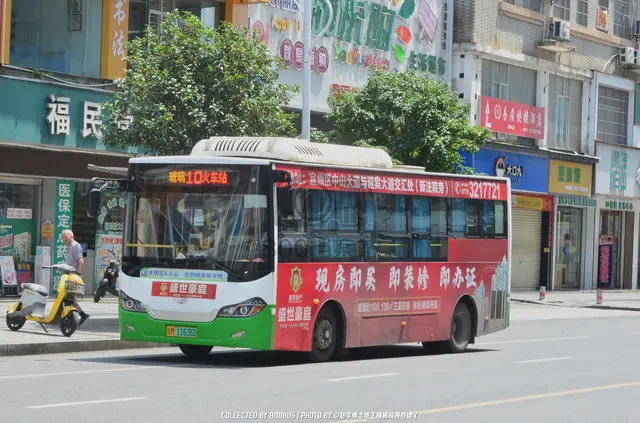 800BUS