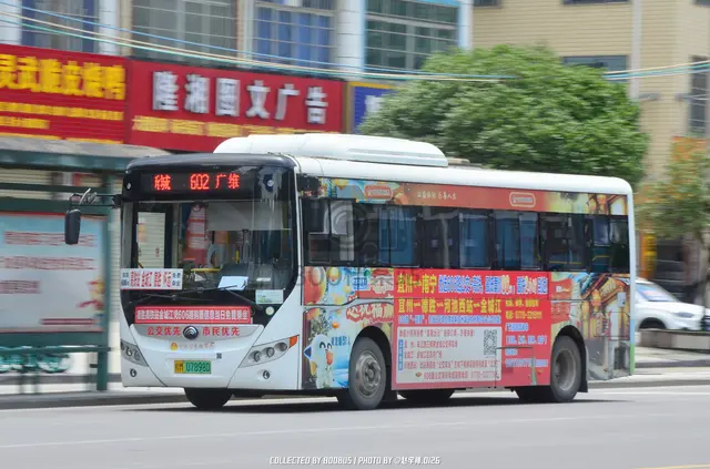 800BUS
