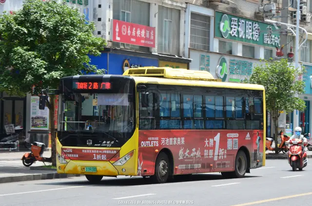 桂M 11618D