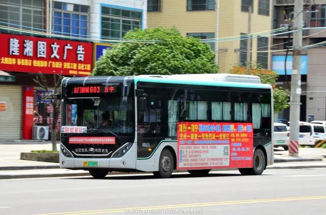 800BUS