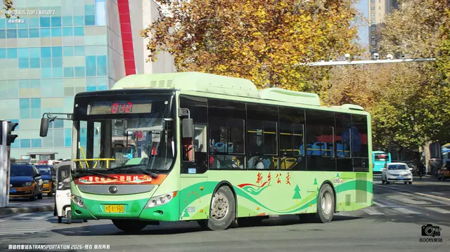 800BUS