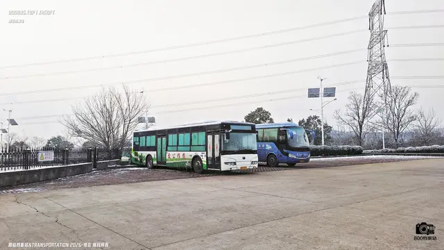 800BUS