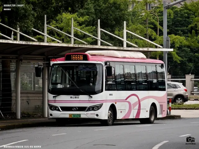 800BUS