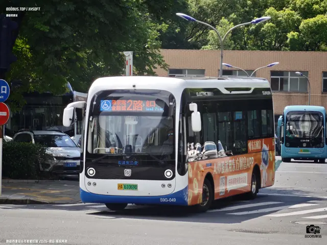 沪A 61069D