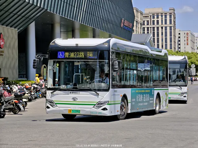 沪A 51396D