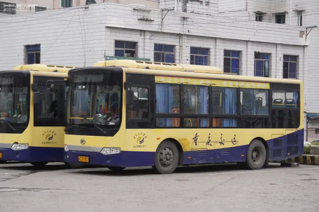 渝C 87937