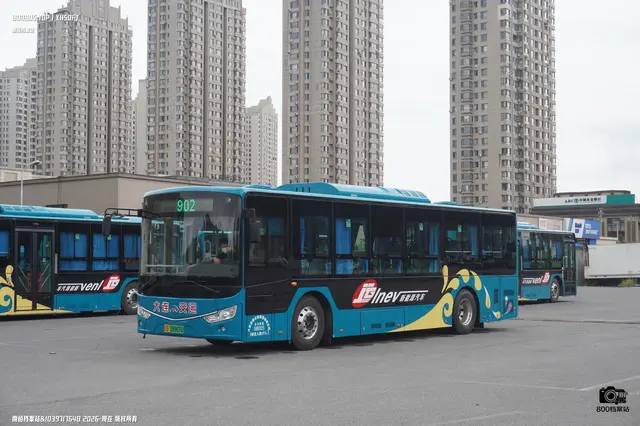辽B 08696D