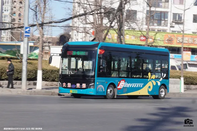 辽B 09930D