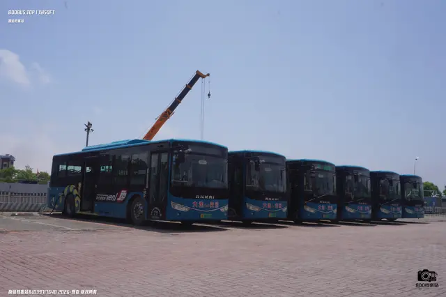 辽B 00160D