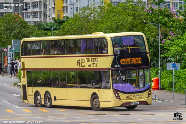 800BUS
