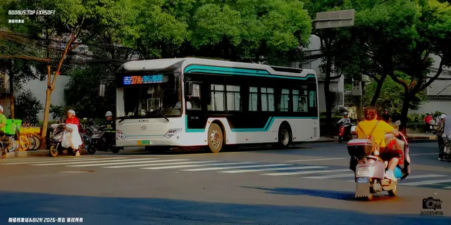 800BUS