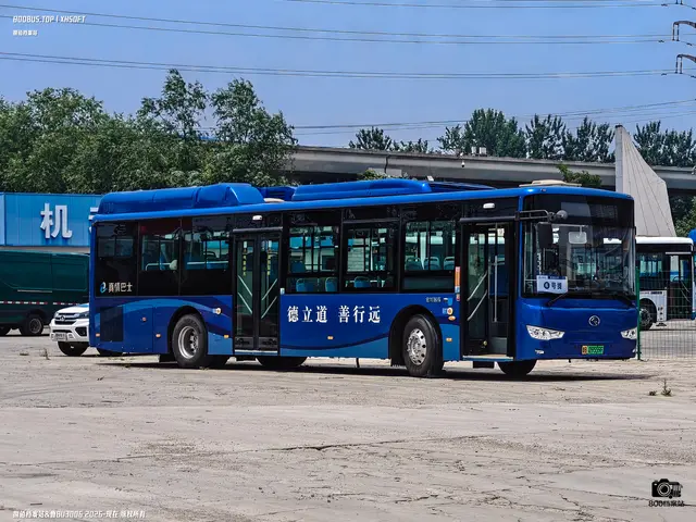800BUS