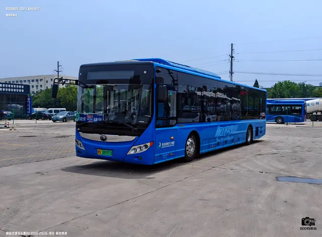 800BUS