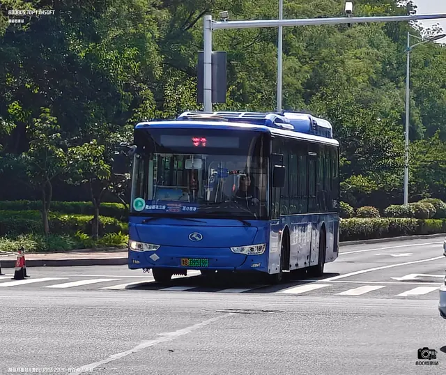 800BUS
