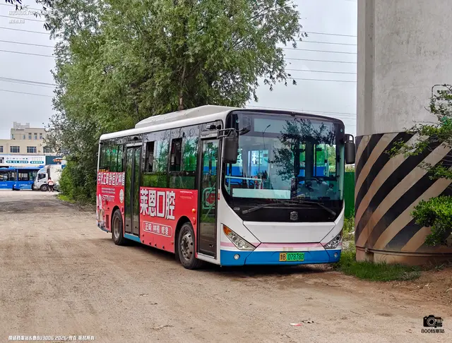 800BUS