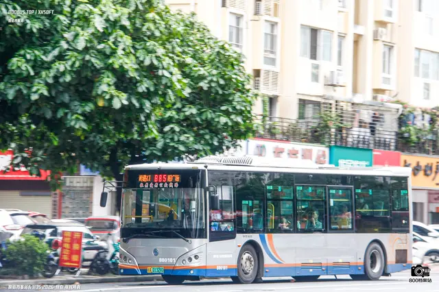 800BUS