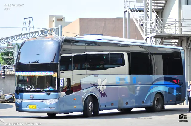 800BUS
