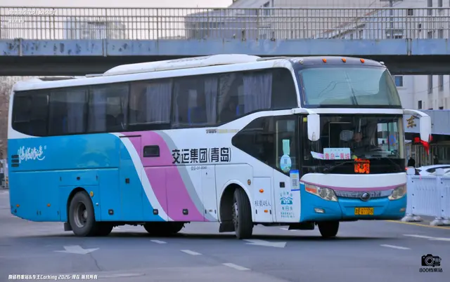 800BUS