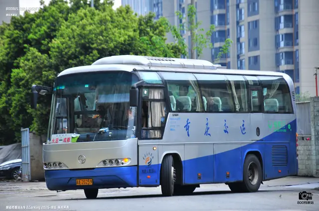800BUS