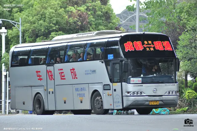 800BUS