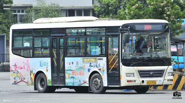 800BUS