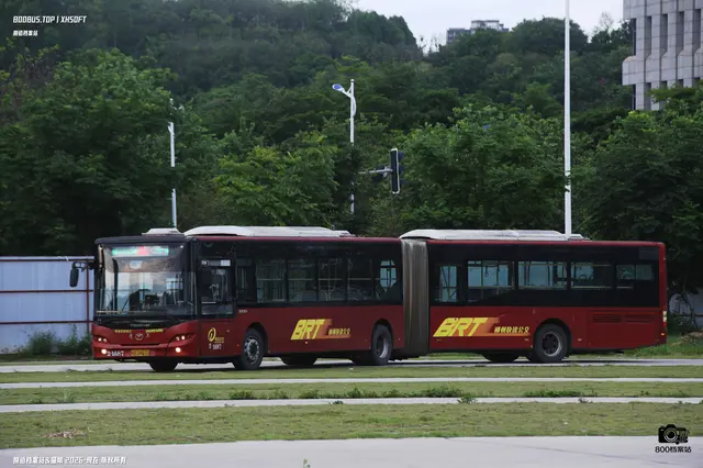 800BUS