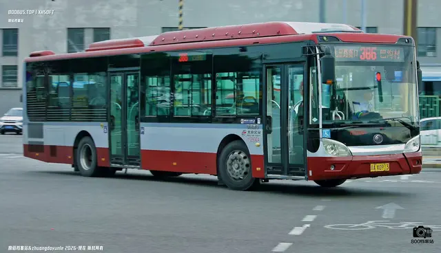 800BUS
