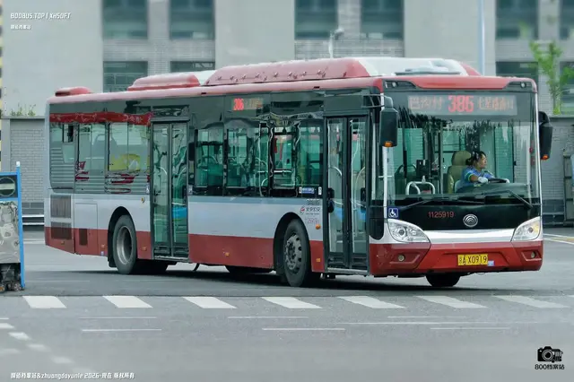 800BUS