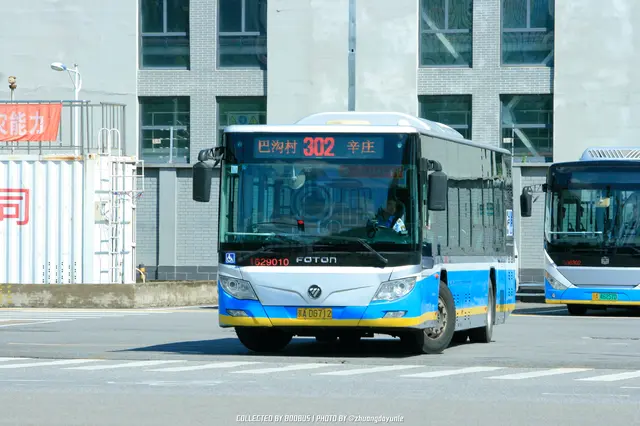 800BUS