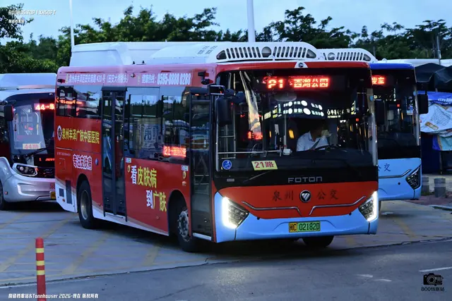800BUS