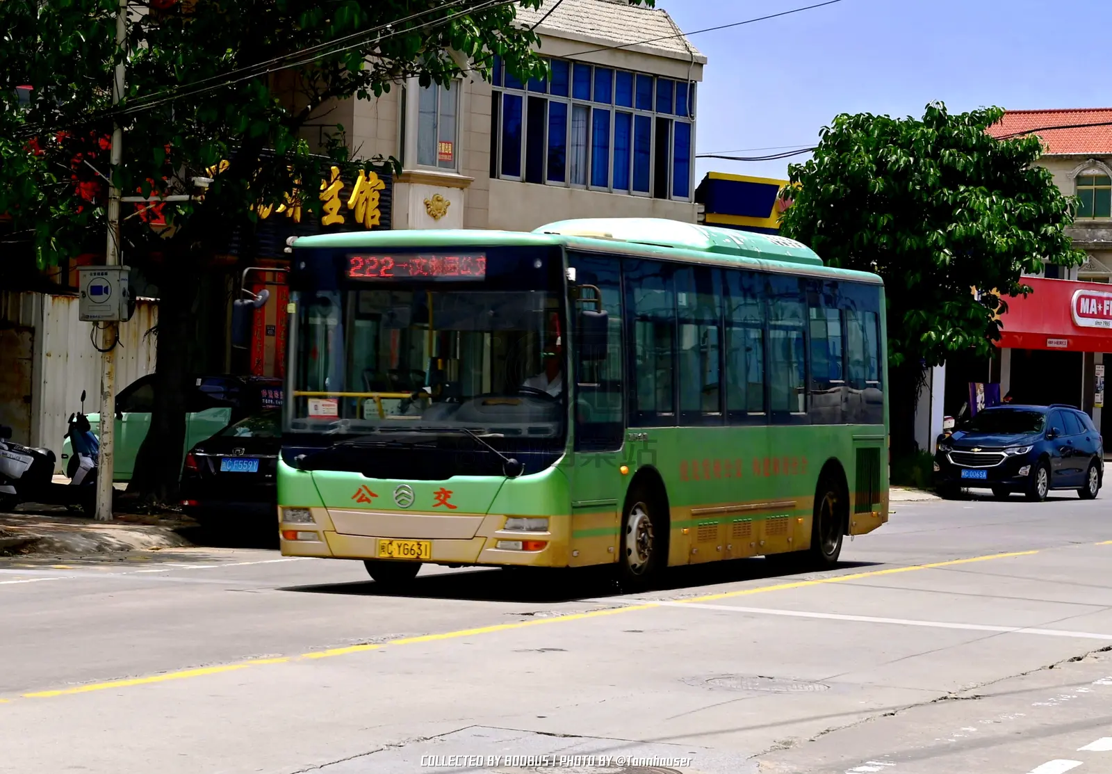 Bus Archive